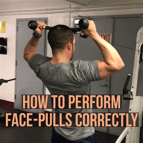 Face pull workout. Things To Know About Face pull workout. 